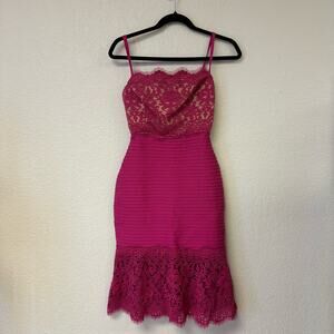 Tadashi Shoji Pintuck Lace Mini Bodycon Dress Pink Petite Small